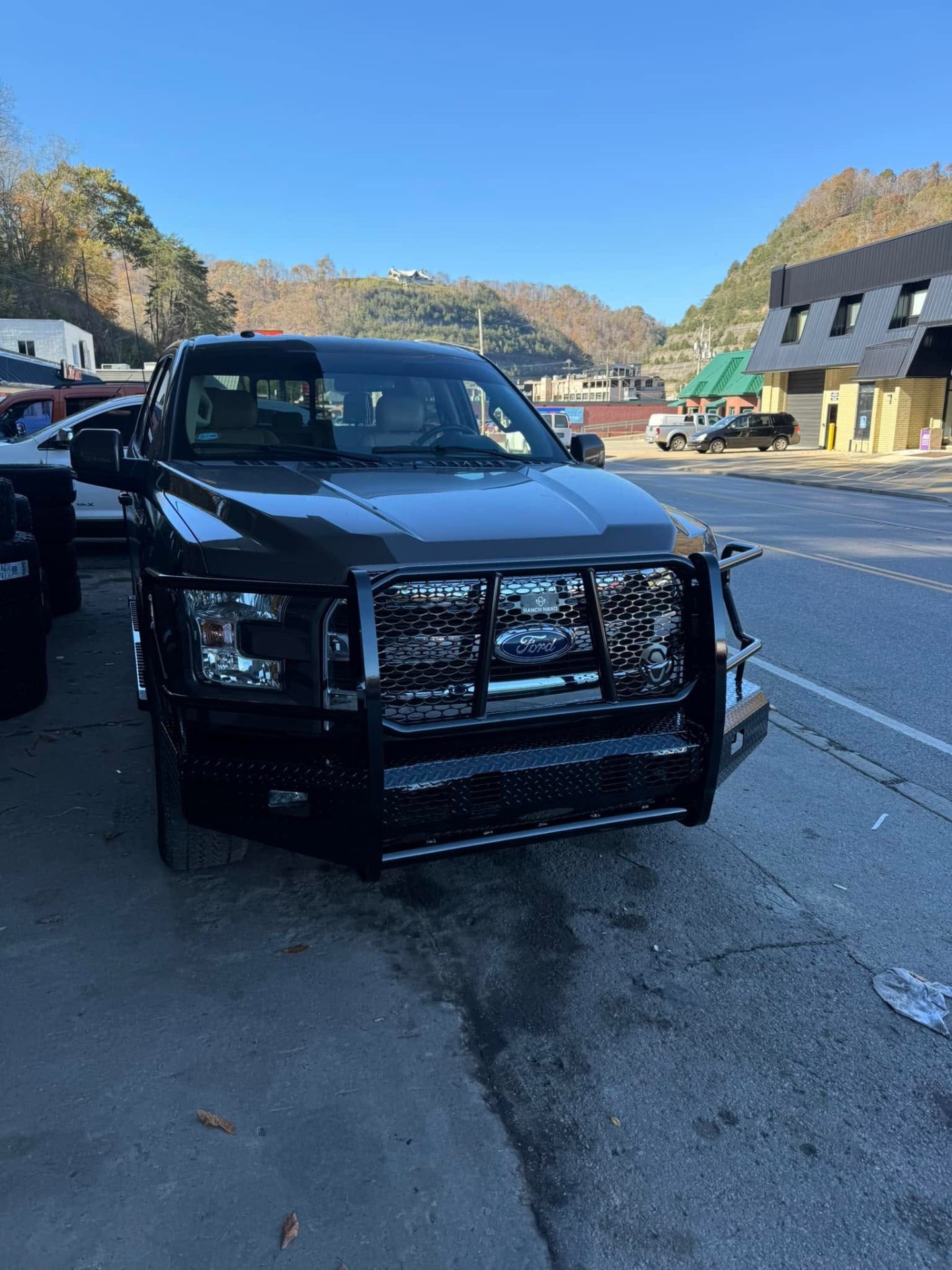 Black Ford F-150 with Ranch Hand brush guard